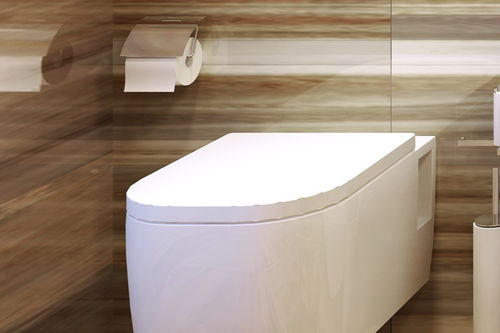 獨家丨優(yōu)家智能獲洪泰智造百萬級種子輪融資,智能馬桶熱度攀升