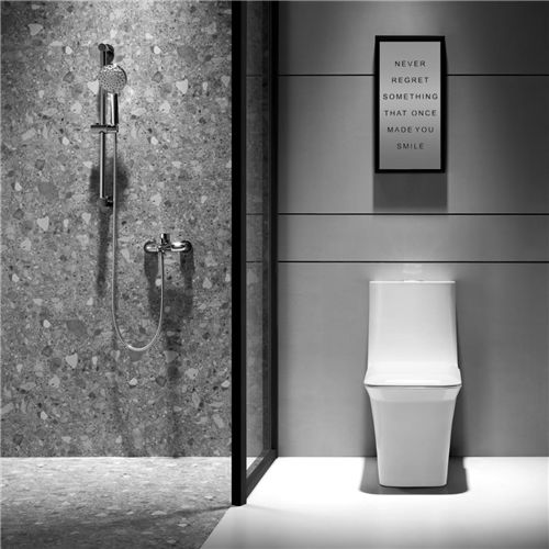 解決衛(wèi)生間的終極難題，箭牌衛(wèi)浴一步搞定