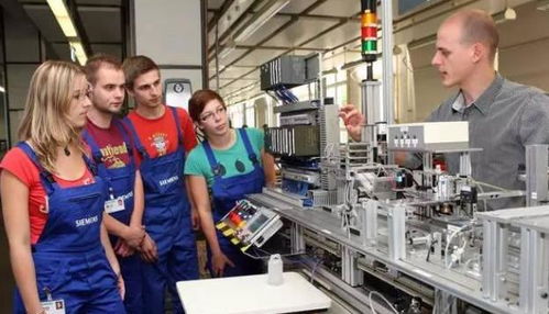 英語與技能 儲(chǔ)殷教授批判下的底層突圍路徑思考